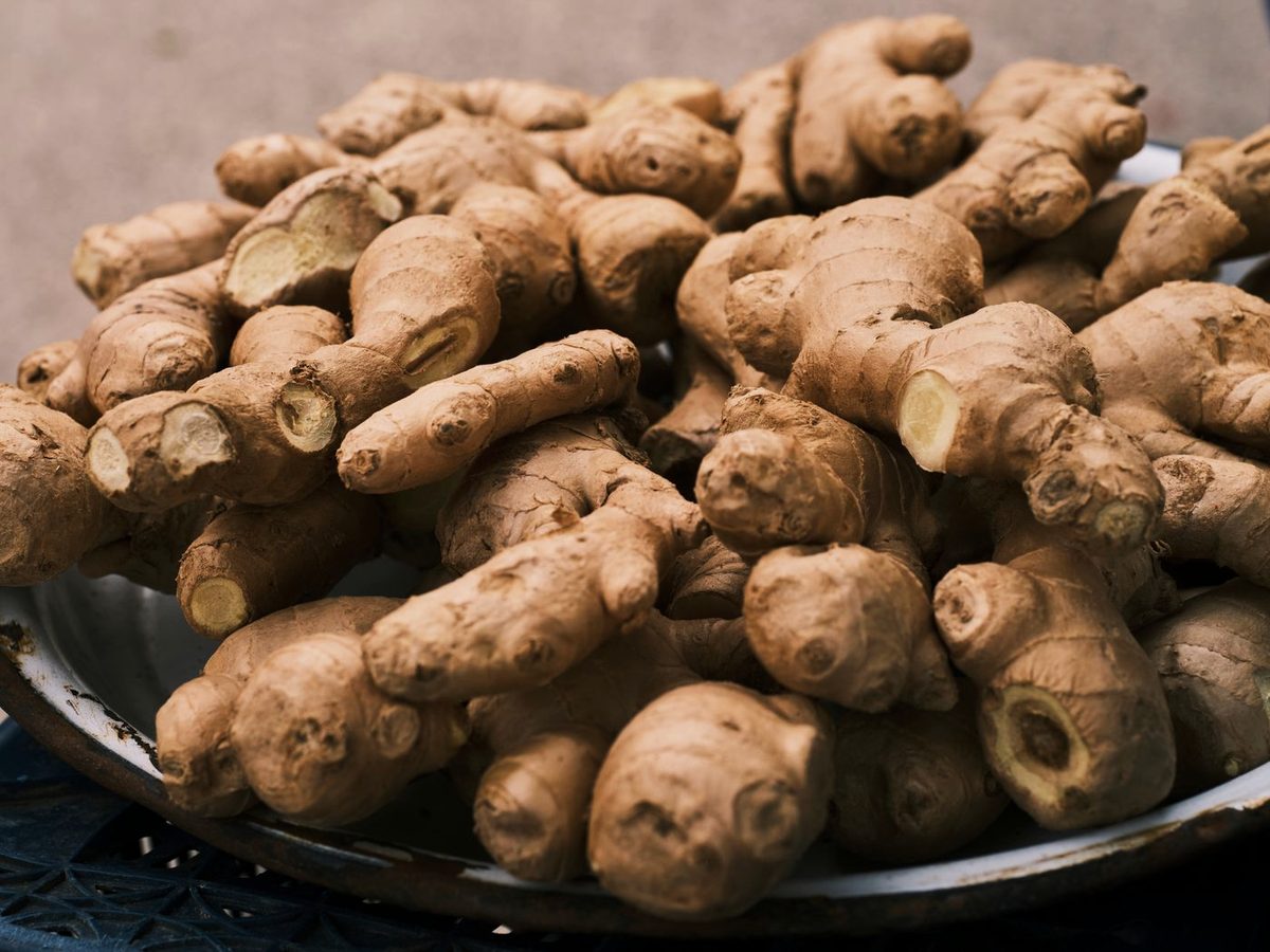 Dried Zingiber officinale rhizomes, the raw material for ginger extract