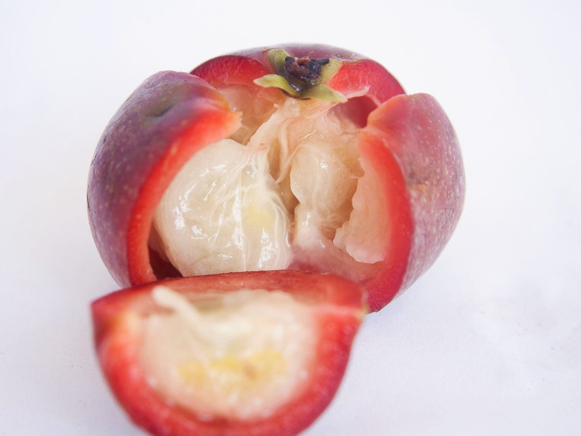 Kokum fruit, Garcinia indica, cut open to show the pulp and seeds