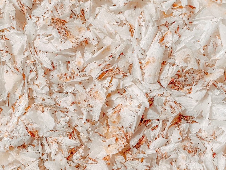 Whole psyllium husk, off-white flakes with pale brown flecks, close up